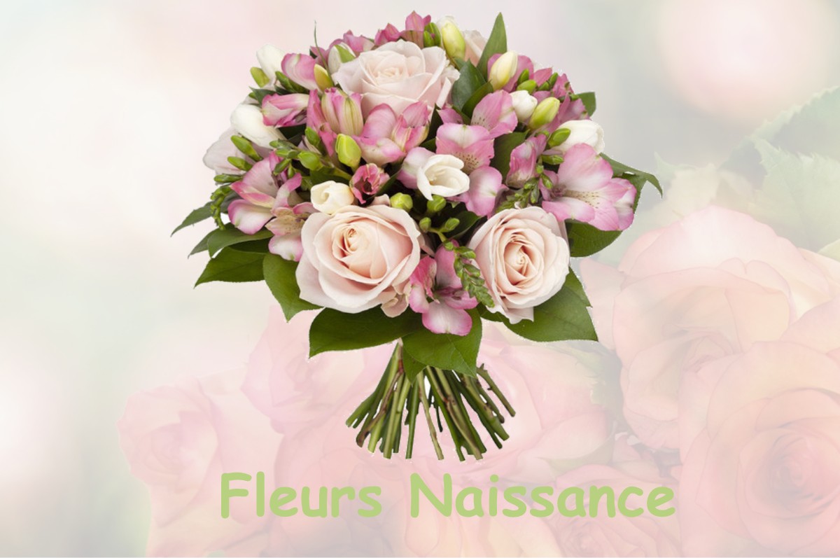 fleurs naissance SAINT-PARDOUX-LES-CARDS